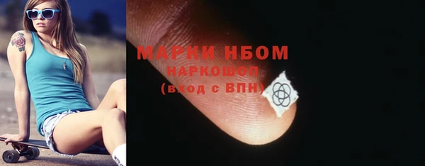 PSILOCYBIN Тайга